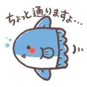 ヒメ日記 2026/06/17 11:20 投稿 さくら 台北(たいぺい）