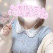 ヒメ日記 2026/03/25 12:02 投稿 すい 成田人妻花壇