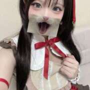 ヒメ日記 2025/12/29 04:45 投稿 ここあ E+アイドルスクール新宿・歌舞伎町店