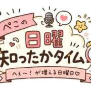 ヒメ日記 2026/08/02 07:00 投稿 ぺこ 人妻熟女奉仕倶楽部