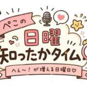 ヒメ日記 2026/08/23 07:20 投稿 ぺこ 人妻熟女奉仕倶楽部