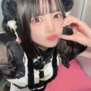 ヒメ日記 2025/11/30 12:15 投稿 あのね 若葉