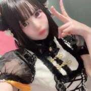 ヒメ日記 2025/12/01 16:21 投稿 あのね 若葉