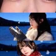 ヒメ日記 2026/04/11 17:01 投稿 みさ きらめけ！にゃんにゃん学園in大宮