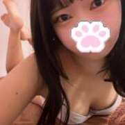 ヒメ日記 2025/11/29 08:50 投稿 白石るな BaliSpa