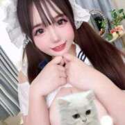 ヒメ日記 2025/12/02 18:14 投稿 【S】しおん E+品川店