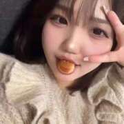 ヒメ日記 2025/12/15 02:14 投稿 【S】しおん E+品川店