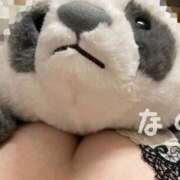 ヒメ日記 2025/12/14 01:11 投稿 なの E+アイドルスクール新宿・歌舞伎町店