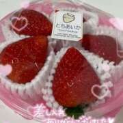 ヒメ日記 2025/12/14 04:54 投稿 なの E+アイドルスクール新宿・歌舞伎町店