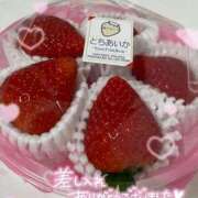 ヒメ日記 2025/12/14 05:05 投稿 なの E+アイドルスクール新宿・歌舞伎町店