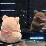 ヒメ日記 2026/10/06 23:31 投稿 リカ Wonder7 (ワンダー7)