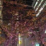 ヒメ日記 2025/12/03 18:18 投稿 岡(おか) Ageha（あげは）