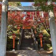 ヒメ日記 2025/12/05 09:30 投稿 岡(おか) Ageha（あげは）