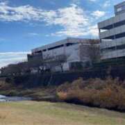 ヒメ日記 2025/12/09 11:22 投稿 岡(おか) Ageha（あげは）