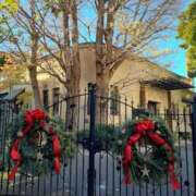 ヒメ日記 2025/12/14 09:00 投稿 岡(おか) Ageha（あげは）