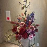 ヒメ日記 2025/12/20 15:13 投稿 岡(おか) Ageha（あげは）