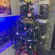 ヒメ日記 2025/12/22 17:00 投稿 岡(おか) Ageha（あげは）