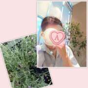 ヒメ日記 2026/05/26 16:30 投稿 愛川(あいかわ)熟女の魅力をたっぷりと♡ 秘密の逢瀬…○○妻(西条・東予・今治)