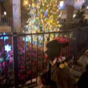 ヒメ日記 2026/02/25 01:34 投稿 すい 西船人妻花壇