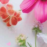 ヒメ日記 2025/12/29 04:10 投稿 かすみ Beppin house