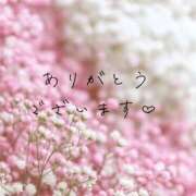 ヒメ日記 2026/02/25 12:50 投稿 かすみ Beppin house