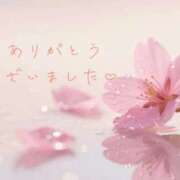 ヒメ日記 2026/04/15 11:30 投稿 かすみ Beppin house