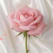 ヒメ日記 2026/04/17 13:43 投稿 かすみ Beppin house