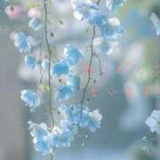 ヒメ日記 2026/05/20 04:50 投稿 かすみ Beppin house