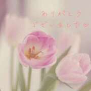 ヒメ日記 2026/06/05 04:00 投稿 かすみ Beppin house