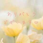 ヒメ日記 2026/06/08 11:30 投稿 かすみ Beppin house