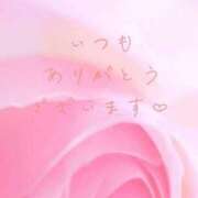 ヒメ日記 2026/06/15 02:50 投稿 かすみ Beppin house