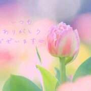 ヒメ日記 2026/06/16 05:20 投稿 かすみ Beppin house
