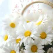 ヒメ日記 2026/07/26 21:30 投稿 かすみ Beppin house