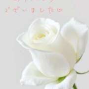 ヒメ日記 2026/07/29 02:32 投稿 かすみ Beppin house