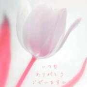 ヒメ日記 2026/07/29 02:40 投稿 かすみ Beppin house