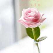 ヒメ日記 2026/08/01 02:00 投稿 かすみ Beppin house