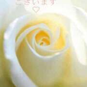 ヒメ日記 2026/08/19 18:31 投稿 かすみ Beppin house