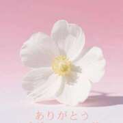 ヒメ日記 2026/08/23 01:40 投稿 かすみ Beppin house