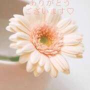 ヒメ日記 2026/08/29 03:10 投稿 かすみ Beppin house