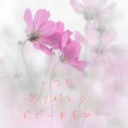 ヒメ日記 2026/09/11 10:40 投稿 かすみ Beppin house