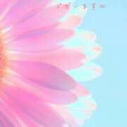 ヒメ日記 2026/09/13 18:51 投稿 かすみ Beppin house