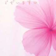 ヒメ日記 2026/09/21 02:50 投稿 かすみ Beppin house