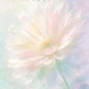 ヒメ日記 2026/09/22 02:00 投稿 かすみ Beppin house