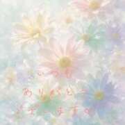 ヒメ日記 2026/09/25 00:40 投稿 かすみ Beppin house