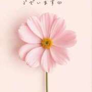 ヒメ日記 2026/09/28 17:30 投稿 かすみ Beppin house