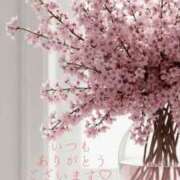 ヒメ日記 2026/10/11 23:50 投稿 かすみ Beppin house