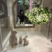 ヒメ日記 2026/01/15 00:33 投稿 新人　のん 素敵な女の子は好きですか？