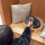 ヒメ日記 2026/02/11 00:03 投稿 新人　のん 素敵な女の子は好きですか？