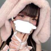 ヒメ日記 2026/02/25 00:12 投稿 新人　のん 素敵な女の子は好きですか？