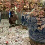 ヒメ日記 2026/04/16 18:20 投稿 のん 素敵な女の子は好きですか？